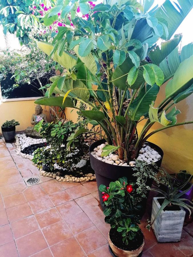 Vivienda Vacacional Vaiana Las Rosas  Exteriör bild